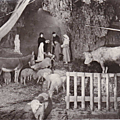Auberge du Vieux Moulin-La Crèche 2