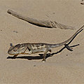 P1130577