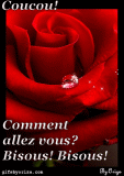 rp_french_gifs_coucou_comment_allez_vous_mini