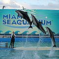 Miami seaquarium : les pour et les contre...