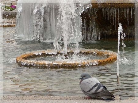 Balade hivernale 2012-02-13_08