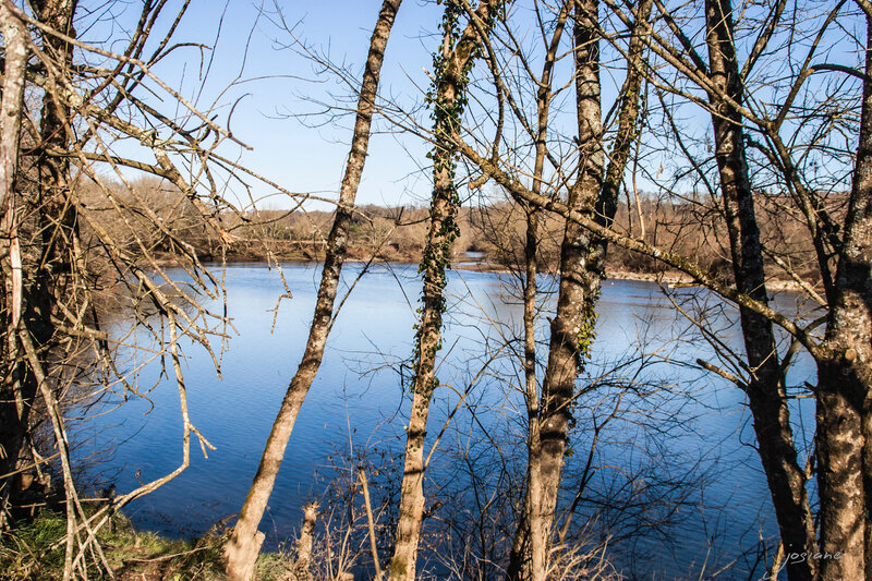 12012015-12012015-IMG_8182