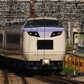 Joyful train 'Irodori' JR 485, Shinjuku eki