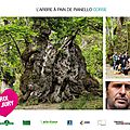 L'édition 2014 de l’arbre de l’année....