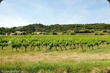 AOC-Ventoux-6