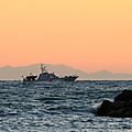 IMG_6790 - Copie