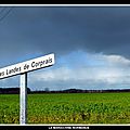L'herbergement (85) - les aventures de deux petits orphelins, les sauvaget 
