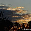 DSC08279