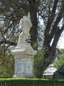 46260___Varaire