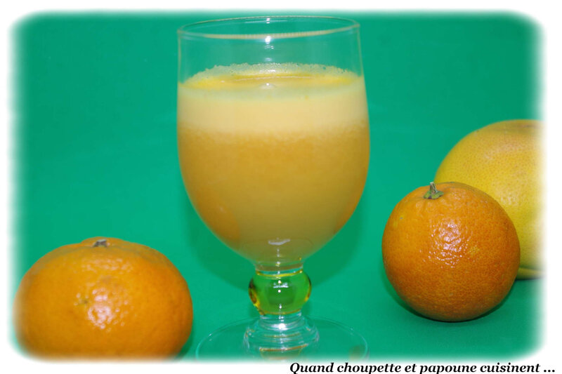 jus de fruits pamplemousse, orange et citron maison-6372