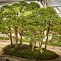 Arborétum
