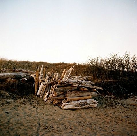 driftwood seguinland