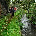 IMGP1078