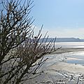 Saint-michel-en-grève(côtes d'armor) le 15 mars 2014 (2)