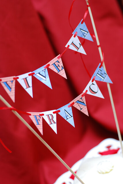 bastilledaybuntingbyBNute_closeup