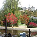 Couleurs d'automne à fougères (ille-et-vilaine) le 20 octobre 2016 (1)