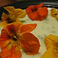 Soupe aux fleurs de capucine
