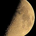 IMG_0009