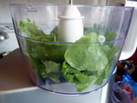 pesto__7_