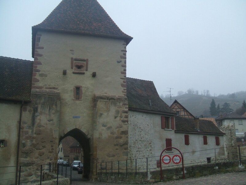DSCF3671