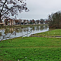 imm016_14-17