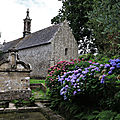 IMG_8621