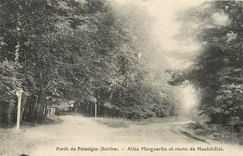 Le 30 novembre 1790 à Mamers : fonds pour les ateliers de charité et demande de Bois de la forêt de Perseigne à « Monsieur ».