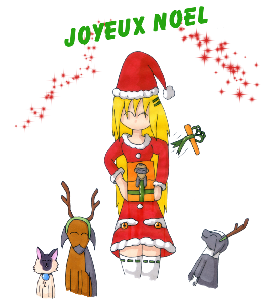 joyeuxnoel2010
