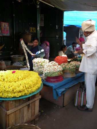 Mysore___Calicut___arriv_e_Cochin_293