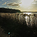 IMG_5283