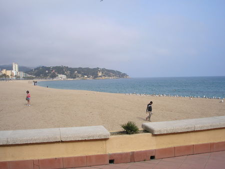 P5050003