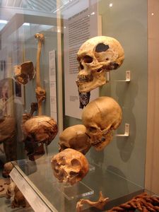 British_Museum_56