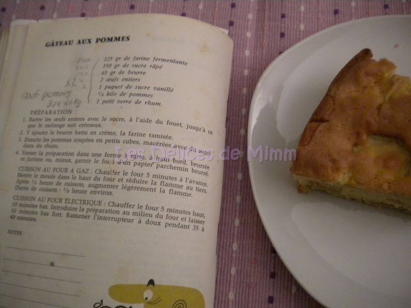 Le Gateau Aux Pommes De David Les Delices De Mimm