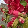 WP_20170404_010