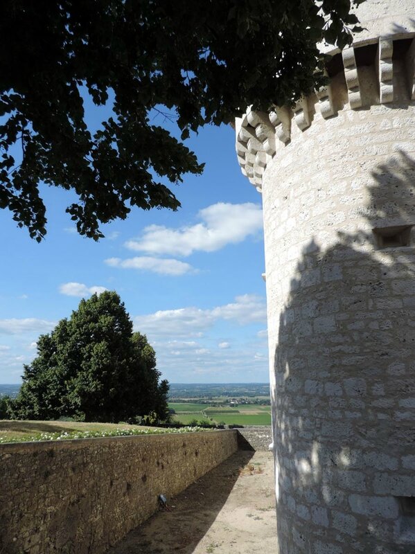 _copie-0_DSCN8988
