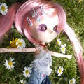 Une Fleur Parmi les Fleurs