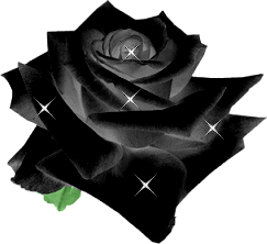 0rw2e4zm