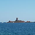 P1070932
