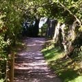 2010-09-12_195454