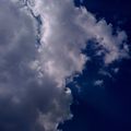 IMG_0425
