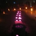 DSCN7633