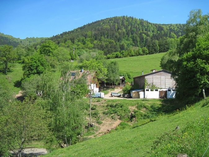 LA FERMEAUBERGE DES OUVERTE ! CAROLINE ET BAPTISTE VOUS