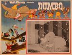 dumbo_mexique_photo_01