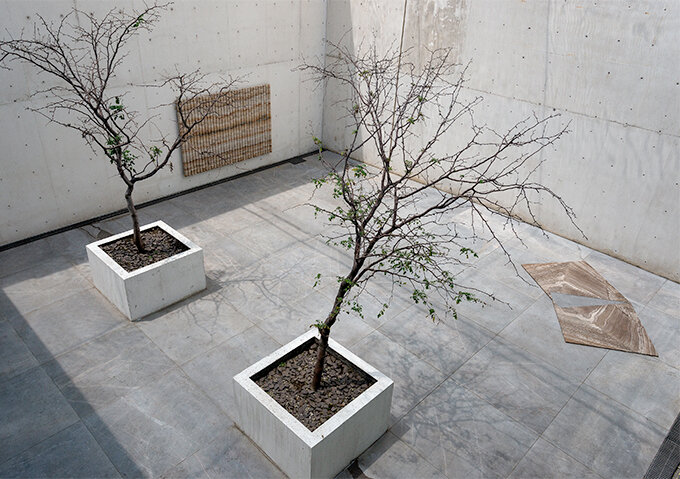 Testigos_MUAC_2015_elena_damiani_installation_view_1