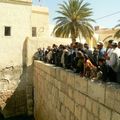 gafsa raouf kaabachi wed elbay (2)