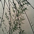 20150617_152708_resized