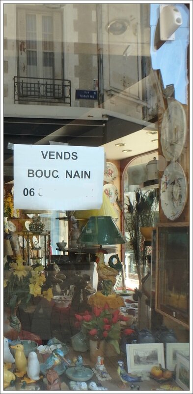 affiche bouc nain 240716
