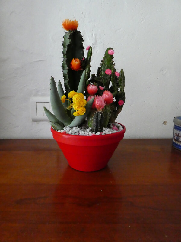 P1000477