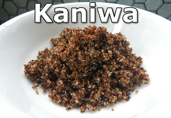 kaniwa