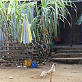 P1120912